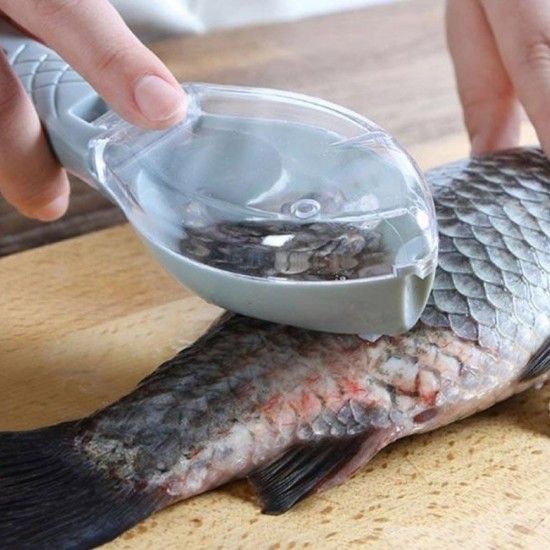 Raspado de Piel de Pescado (Gris)