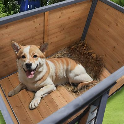 45"large solid wood dog house